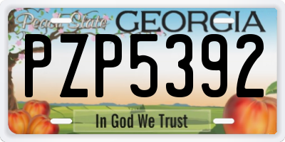 GA license plate PZP5392