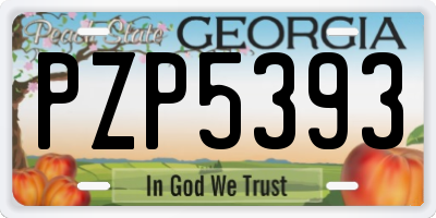 GA license plate PZP5393