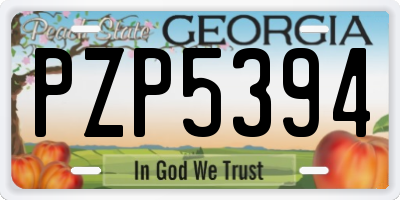 GA license plate PZP5394