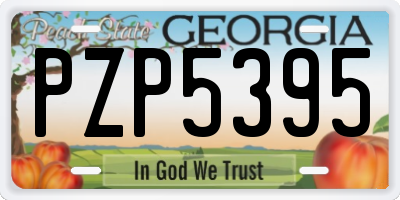 GA license plate PZP5395