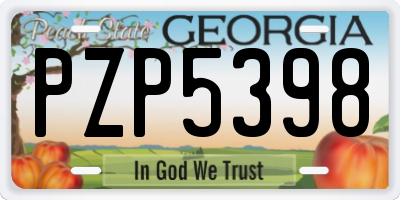 GA license plate PZP5398