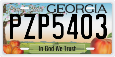 GA license plate PZP5403