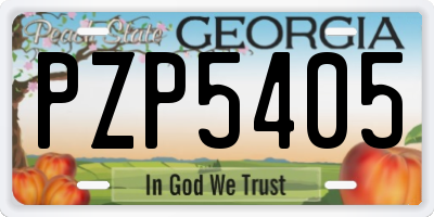 GA license plate PZP5405