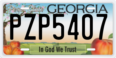 GA license plate PZP5407