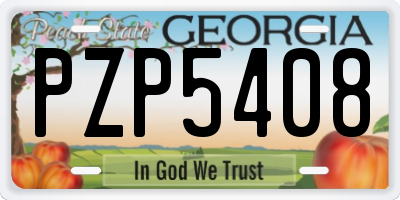 GA license plate PZP5408