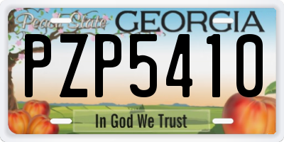 GA license plate PZP5410