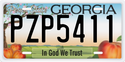 GA license plate PZP5411
