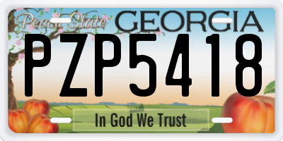 GA license plate PZP5418