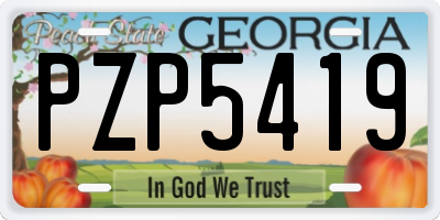 GA license plate PZP5419