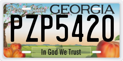 GA license plate PZP5420