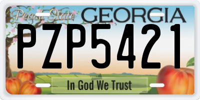 GA license plate PZP5421