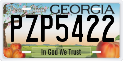 GA license plate PZP5422