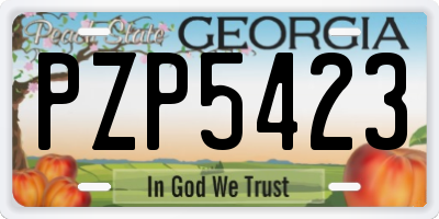 GA license plate PZP5423