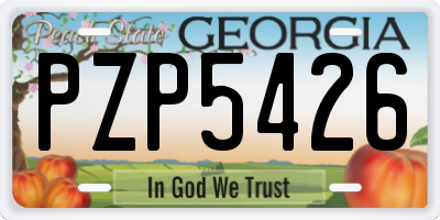 GA license plate PZP5426