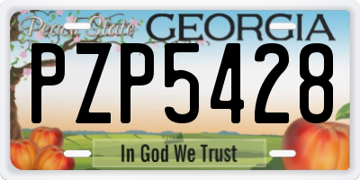 GA license plate PZP5428