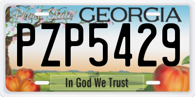 GA license plate PZP5429
