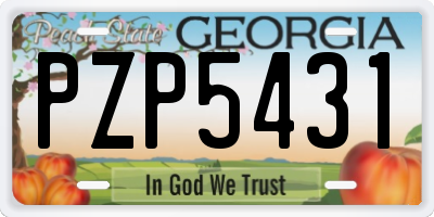 GA license plate PZP5431