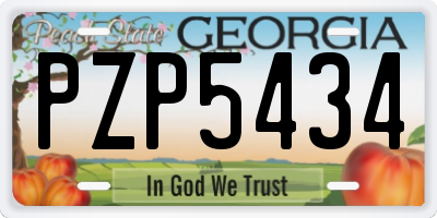 GA license plate PZP5434