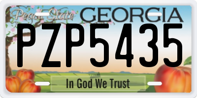 GA license plate PZP5435