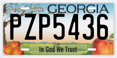 GA license plate PZP5436