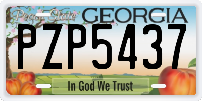 GA license plate PZP5437