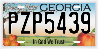 GA license plate PZP5439
