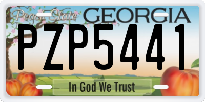 GA license plate PZP5441