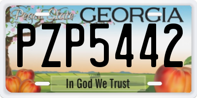 GA license plate PZP5442