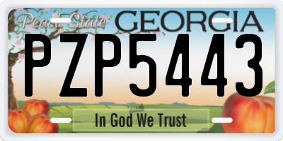 GA license plate PZP5443