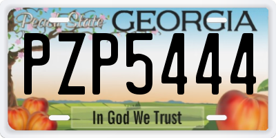 GA license plate PZP5444