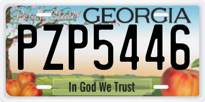 GA license plate PZP5446