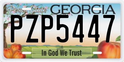 GA license plate PZP5447