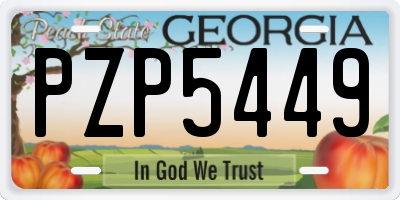 GA license plate PZP5449