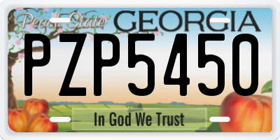 GA license plate PZP5450