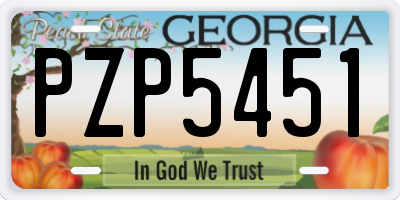 GA license plate PZP5451