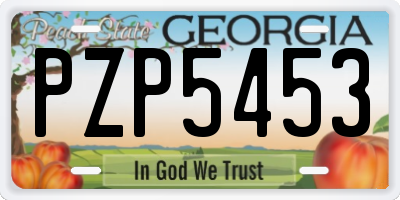 GA license plate PZP5453