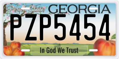 GA license plate PZP5454