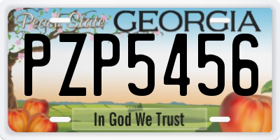 GA license plate PZP5456