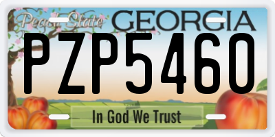 GA license plate PZP5460