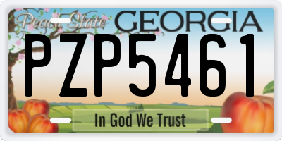 GA license plate PZP5461