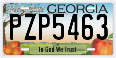 GA license plate PZP5463