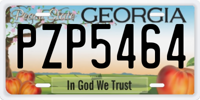 GA license plate PZP5464