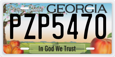 GA license plate PZP5470