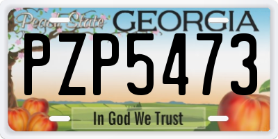 GA license plate PZP5473
