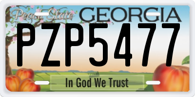 GA license plate PZP5477
