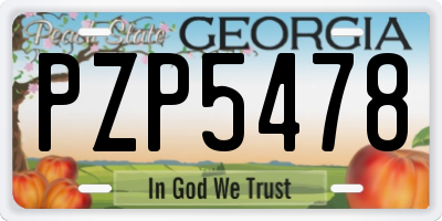 GA license plate PZP5478