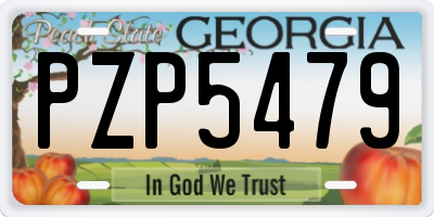 GA license plate PZP5479