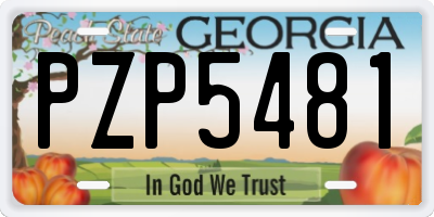 GA license plate PZP5481