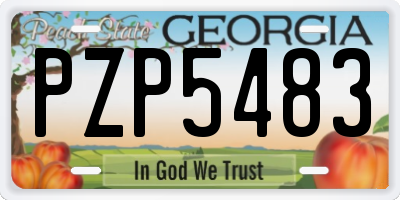 GA license plate PZP5483
