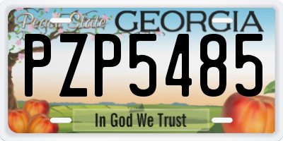 GA license plate PZP5485